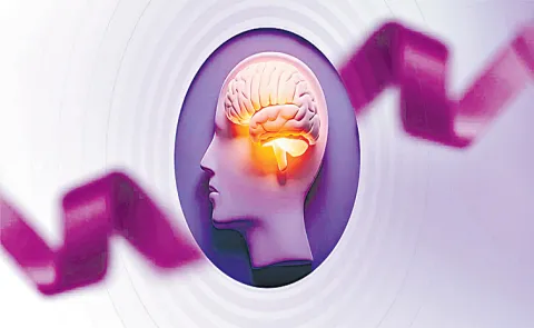 Precautions to take prevent forgetfulness