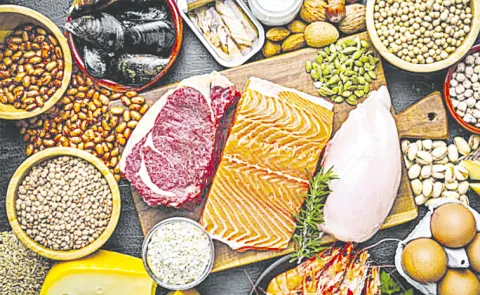 Protein Needs: Growing Focus on Dairy Products