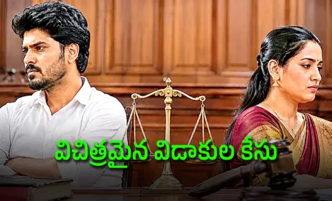 Supreme Court Divorce Case Article-142-20-Year Legal Battle
