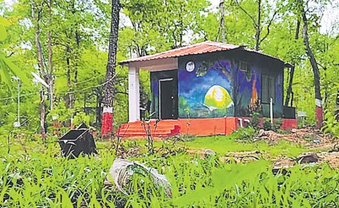 Tadvai Forest Huts: night stay packages full details