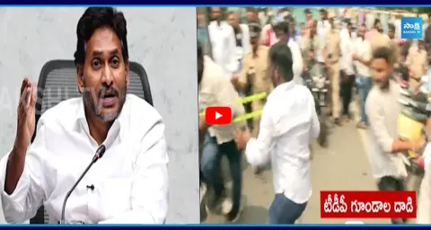  YS Jagan Key Meeting With YSRCP Leaders Over TDP Leaders Attack 1