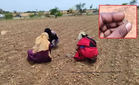 Kurnool Woman Finds Diamond 