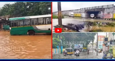 Schools Closed In AP Due To Heavy Rains  1