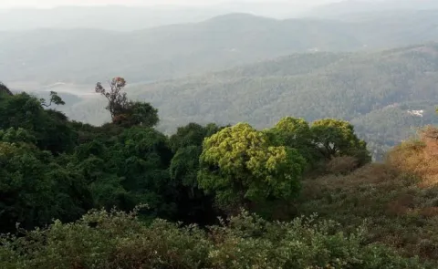 Why Malenadu, Karavali People Oppose Kasturirangan Report on on Western Ghats