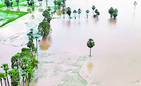 Severe cyclonic storm passes coast affecting 16 districts