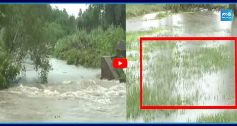  Toofan Effect Floods At AP Rains 2