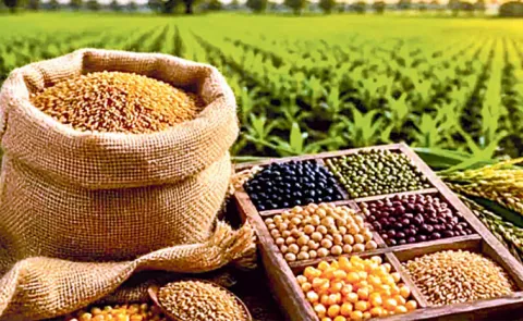 India Sets Sights on a Bigger Share of the Global Seed Market