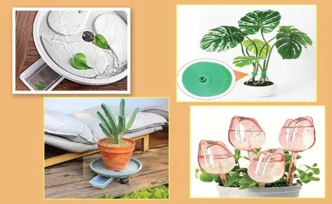 Mini Gardening Gadgets For Easy Plant Care