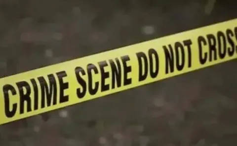 Lorry driver assassinated his wife and mother in law