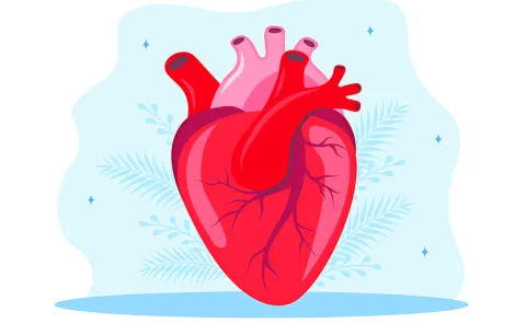 Aging occurs at different levels in the body