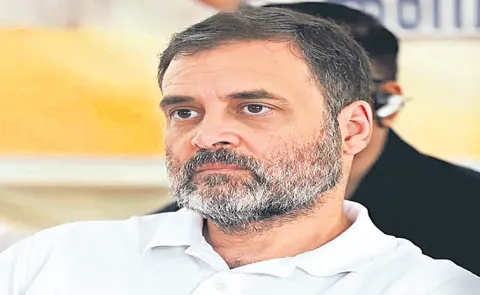 Rahul Gandhi said he loves swimming in rough seas