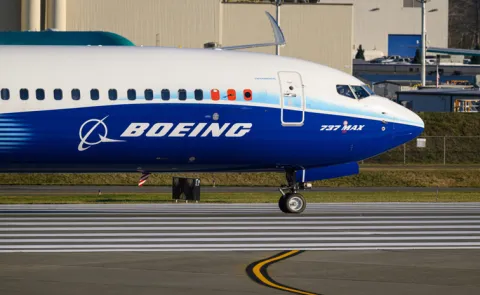 Boeing flags 737 MAX software glitch affecting landing navigation feature