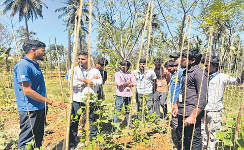 Akshayakalpa Organic provides comprehensive guidance of free fellowship