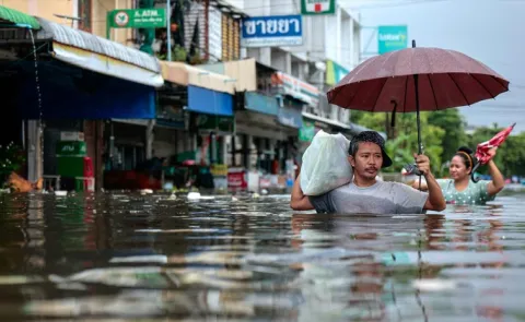Bangkok Floods: Submerged Cars Snakes and Fish Leave City in Chaos