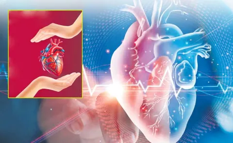 Heart Palpitations Causes Warning Signs And When To Seek Help8