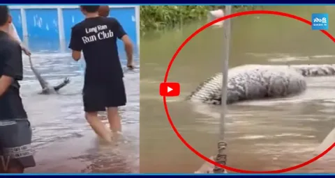 Huge Floods In Bangkok Viral Video In Social Media 2