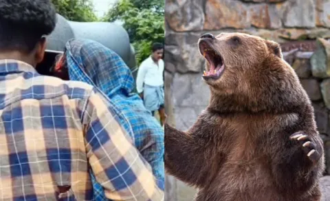Bears Attack On A Man In Kumuram Bheem Asifabad district 