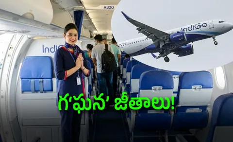 IndiGo Cabin Crew Salary 2026 How Much Flight Attendants Earn India