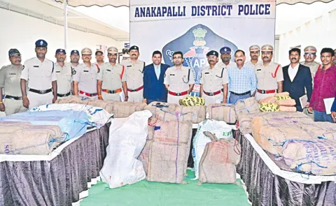 Ganja worth Rs 3 crore seized