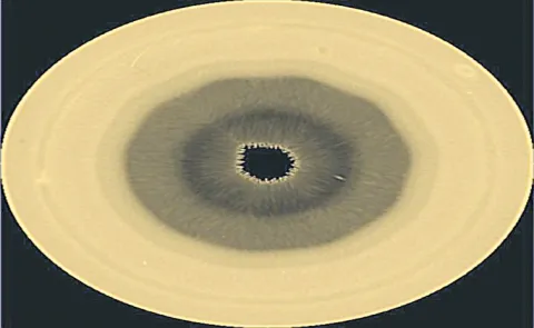 Decagon wave emerges near Saturn south pole