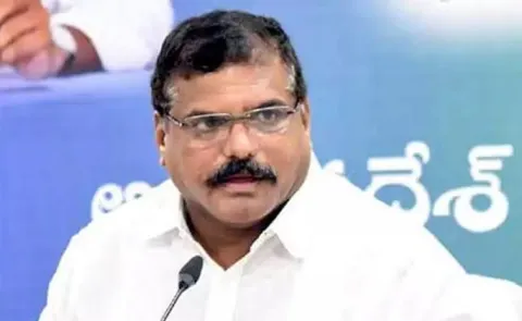Ysrcp Leader Botsa Satyanarayana Fires On Chandrababu