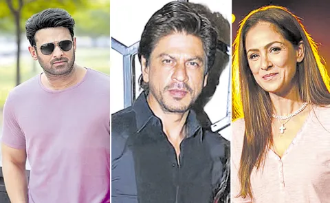 Teacher Roles Set to Add New Dimension to Upcoming Films