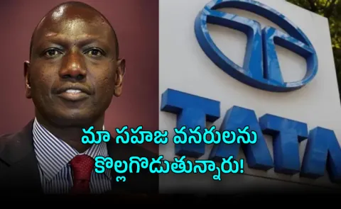 Kenya President Orders Tata Chemicals Shutdown Is India cos Pushed Out Africa