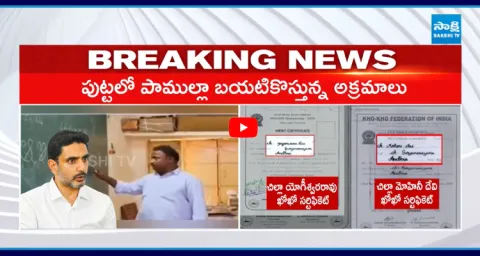 Shocking Truth About Nara Lokesh DSC Scam In AP 1