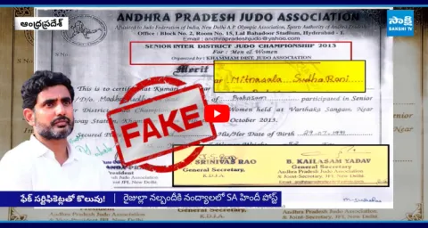 AP Government Jobs With Fake Certificates 1