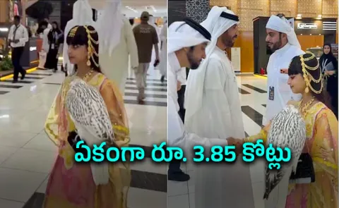 Uncle fulfils nieces wish as rare falcon fetches Rs 3.85 crore at Abu Dhabi