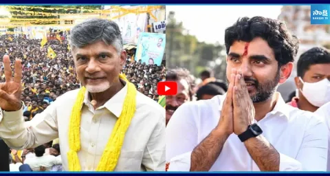 DSC Scam By Nara Lokesh Fake Government 1