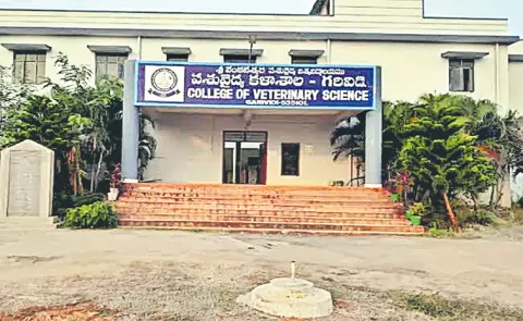 Closure of Government Veterinary College in Andhra Pradesh