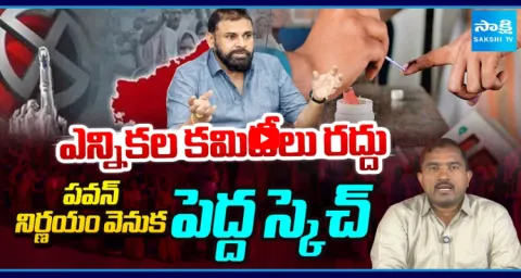 Pawan Kalyan Cancels Election Committees 1