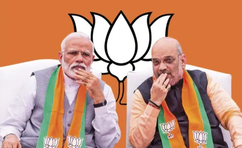 BJP KS Radhakrishnan Comments why his party struggles In Kerala