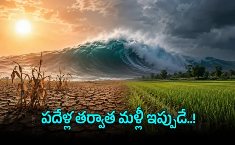 El Nino Now Threatens Rabi Crop India Sees Weak Monsoon Over Decade