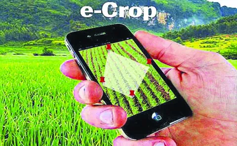 Farmers face difficulties in e crop registration