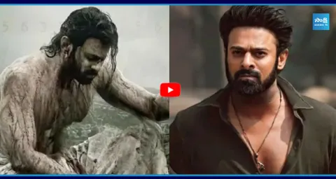 Prabhas Fauzi Movie Leaked Video 2