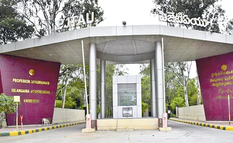 IPS Officers Refuse to Vacate Agricultural University Quarters: Telangana