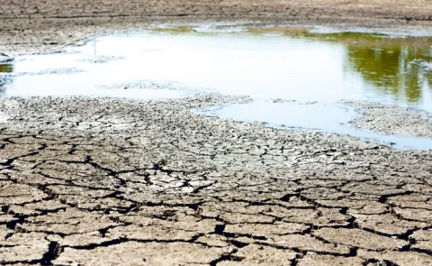 Groundwater levels drop across all districts in September