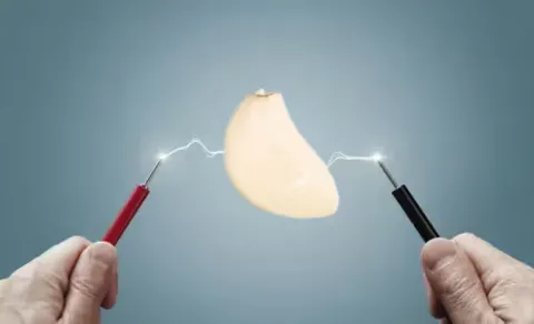 Generate Electricity Garlic Peel Waste9