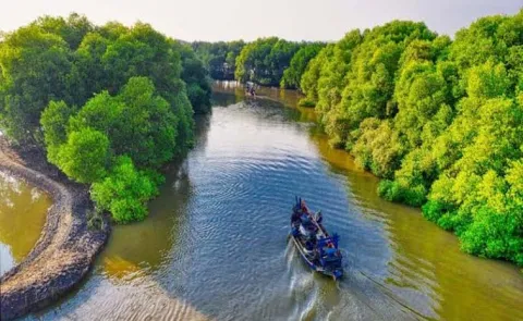 Traveli Tips: Sundarban West Bengal Tourism