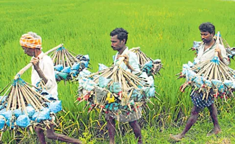 Andhra Pradesh Yanadi Tribes Rights Development