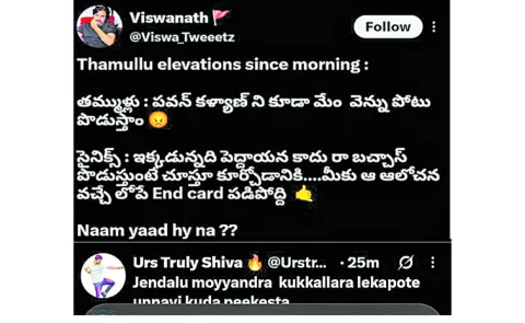 Pawan Kalyan comments that sparked controversy
