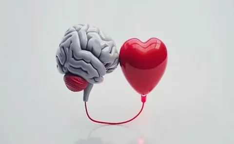 Health Tips: Your Heart Has a Brain of Its Own and it protects against stress7
