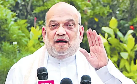 Amit Shah Rahul Gandhi 2029-Election Defeat