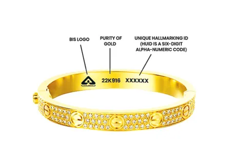 BIS Director Head Prem Sajani in an interview about the future plans of BIS