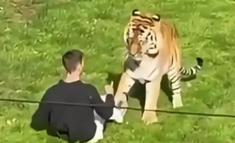 Trumps tiger attack post triggers social media backlash10