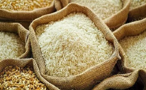 India rice exports may fall to 24 million tonnes in 20277