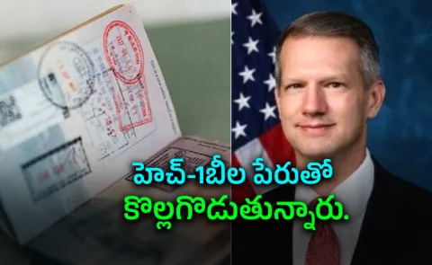 us congressman claims h1b holders from india china replacing american graduates7