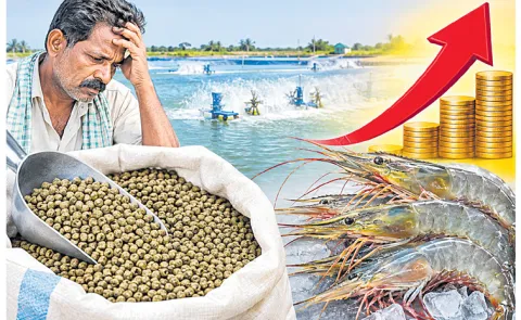Increase in shrimp feed prices comes into effect today